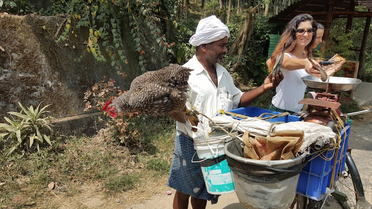 Vendedor de peixe, Thrikkaipetta, Wayanad, Kerala © Viaje Comigo