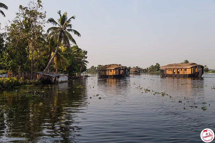 backwaters-kerala