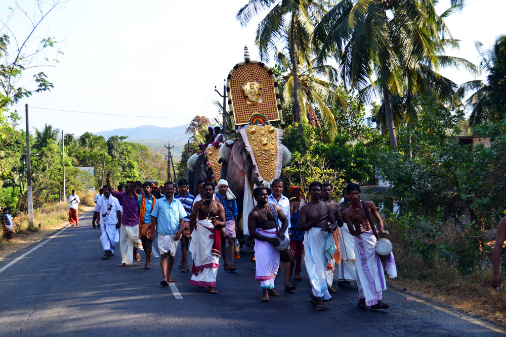 A religious ceremony on the road - mostly an elephant is