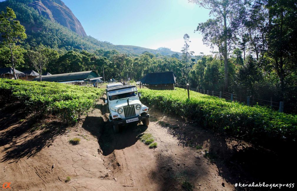 jeep-safari-camping-kerala