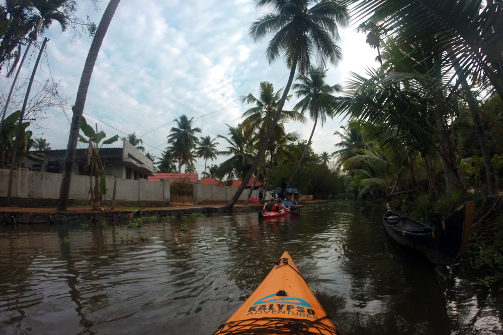 So nice to paddle at their own pace through the Kerala backwaters 