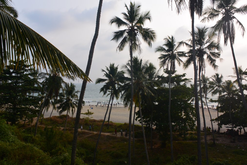 turtle-on-the-beach-kovalam-29